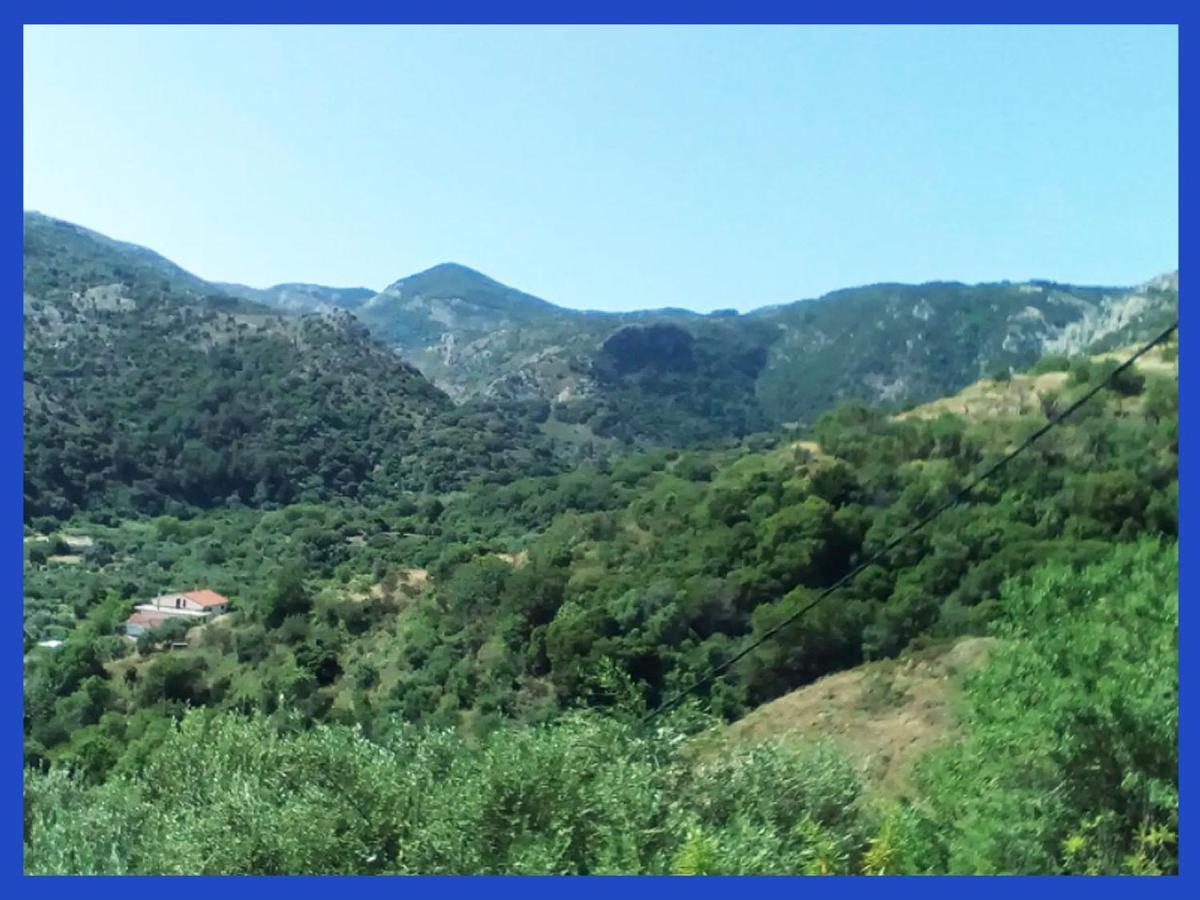 شقة Kampos View Ikaria إفديلوس المظهر الخارجي الصورة