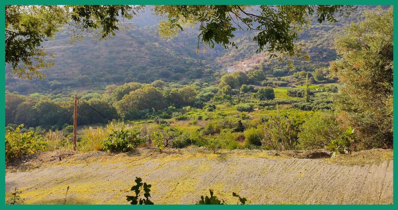 شقة Kampos View Ikaria إفديلوس المظهر الخارجي الصورة