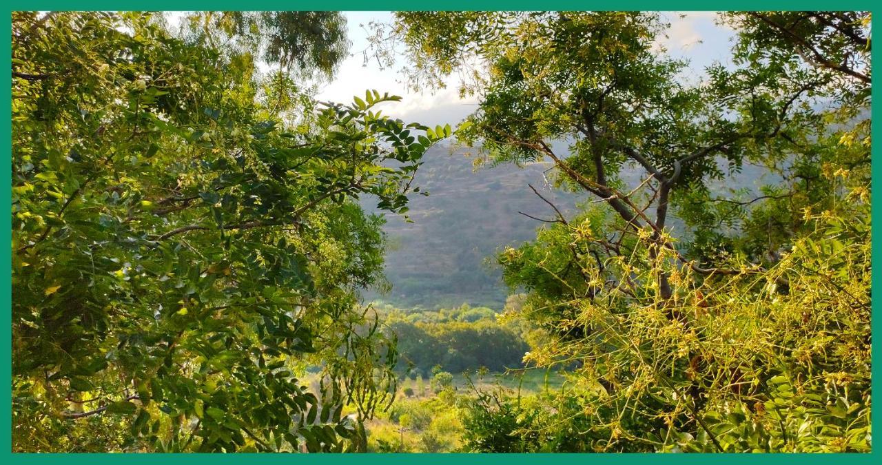 شقة Kampos View Ikaria إفديلوس المظهر الخارجي الصورة