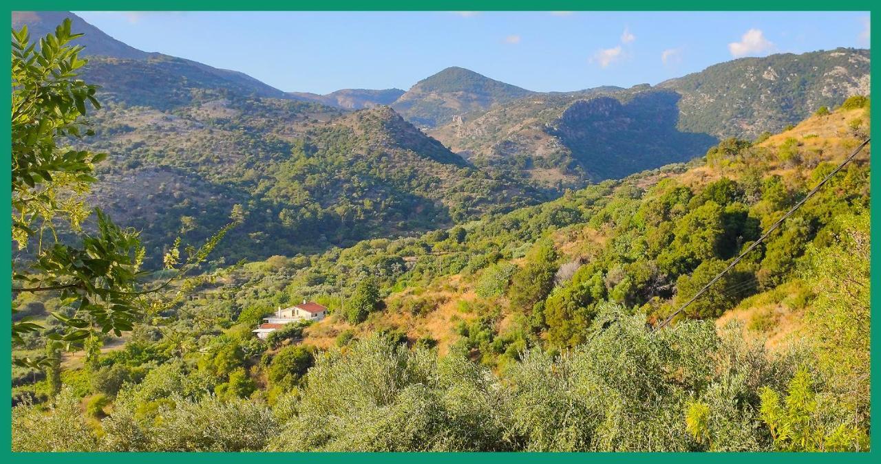 شقة Kampos View Ikaria إفديلوس المظهر الخارجي الصورة
