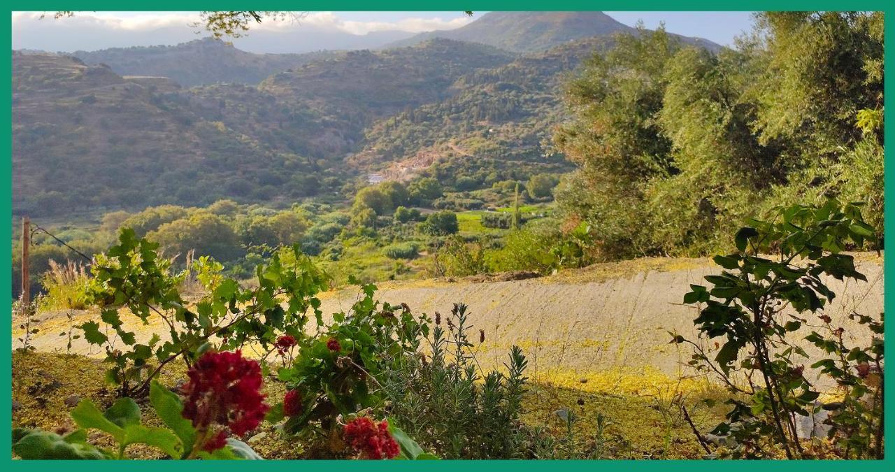 شقة Kampos View Ikaria إفديلوس المظهر الخارجي الصورة