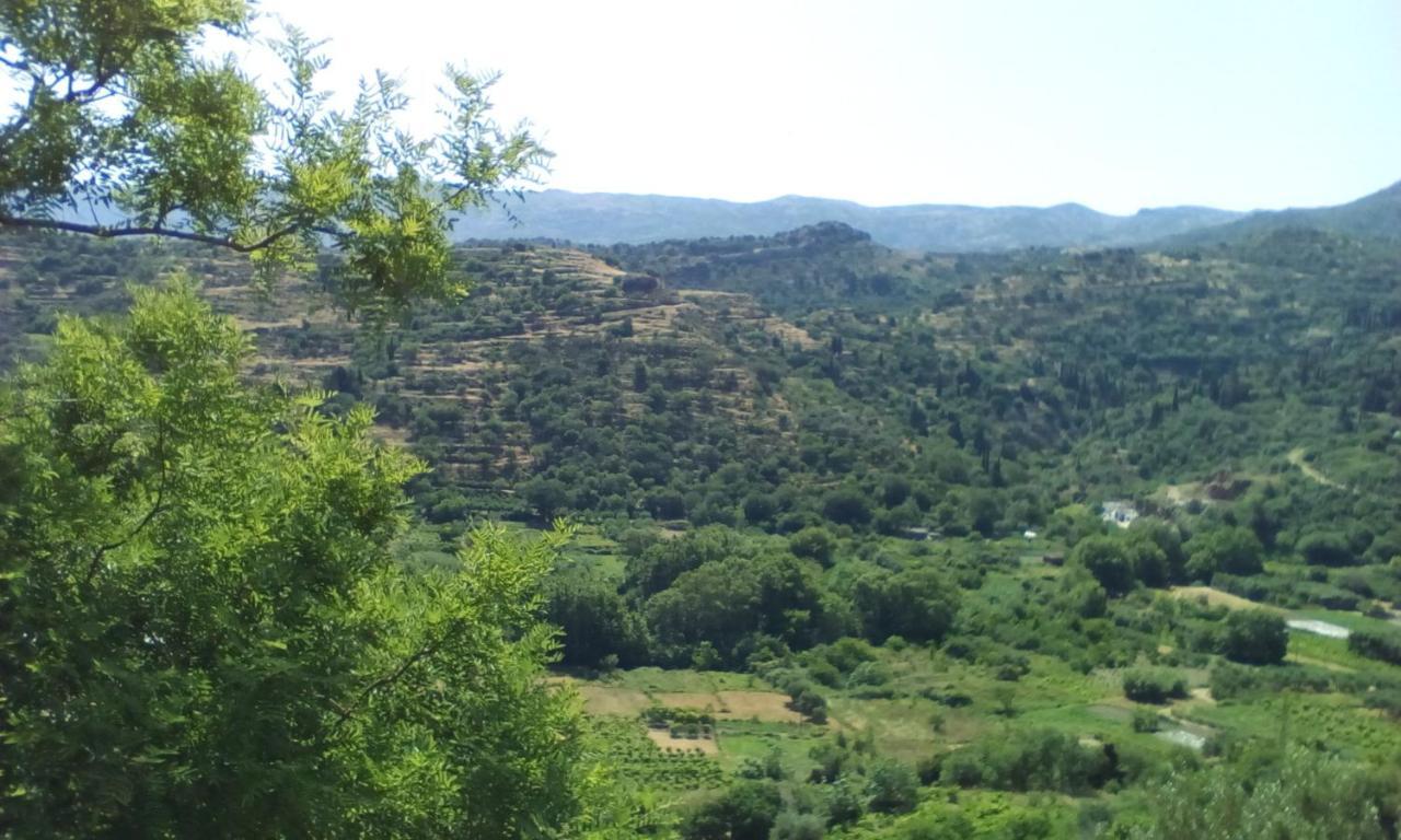 شقة Kampos View Ikaria إفديلوس المظهر الخارجي الصورة