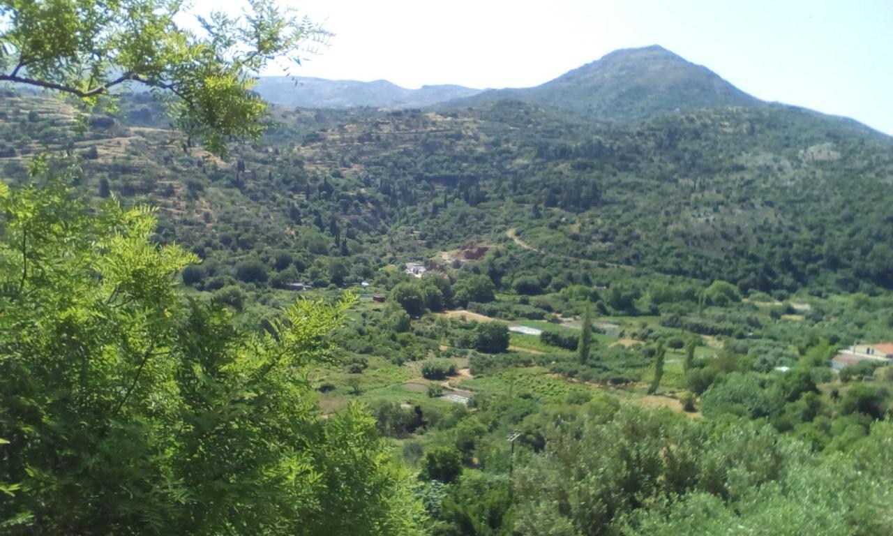 شقة Kampos View Ikaria إفديلوس المظهر الخارجي الصورة