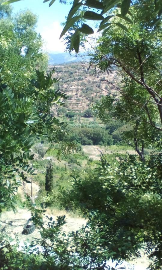 شقة Kampos View Ikaria إفديلوس المظهر الخارجي الصورة